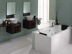 衛(wèi)浴行業(yè)市場呈現(xiàn)三大熱點 走向理性 水暖潔具